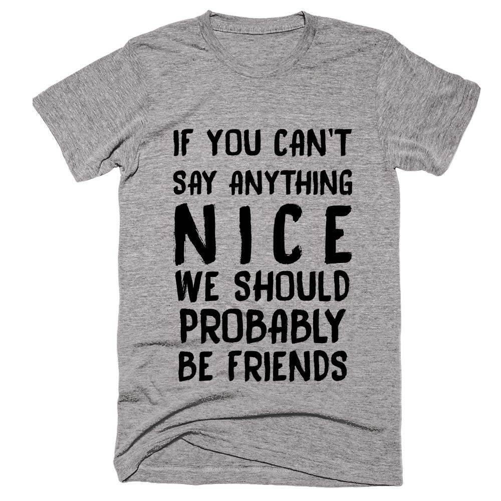 If You Can’t Say Anything Nice We Should Probably Be Friends T-shirt - Shirtoopia