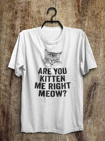 are you kitten  me right meow? t shirt - Shirtoopia